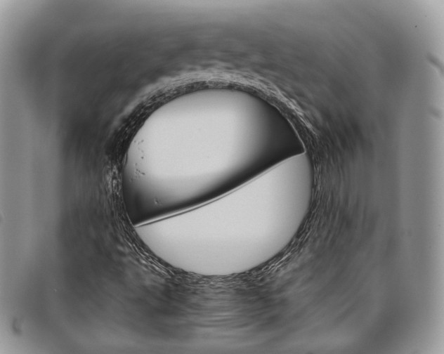 X0000098041495200804071427