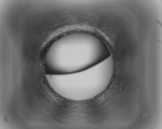 X0000098041496200804071427