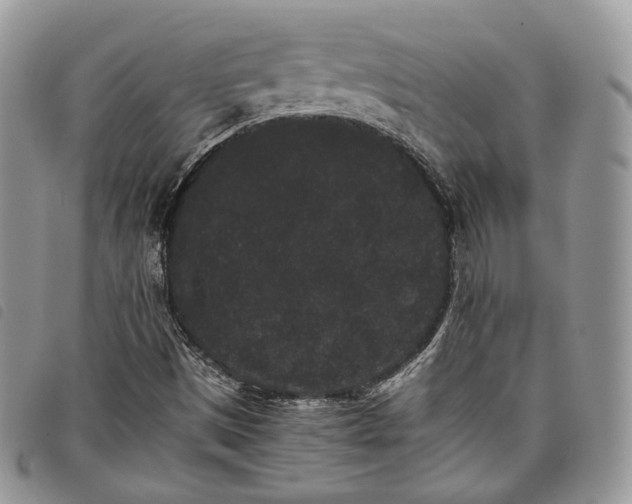 X0000098041497200804071427