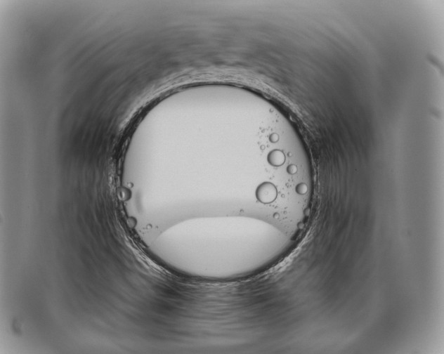 X0000098041498200804071427