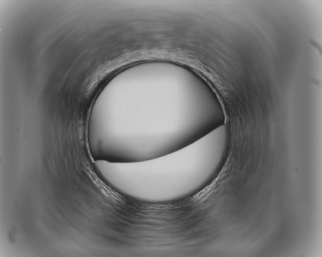 X0000098041499200804071428