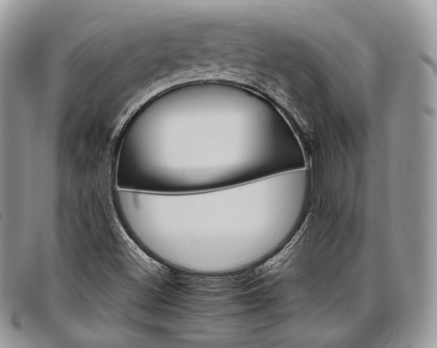 X0000098041500200804071428