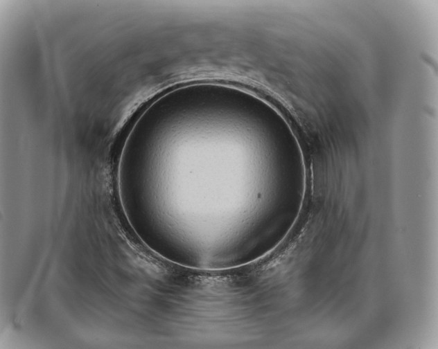 X0000098041501200804071428