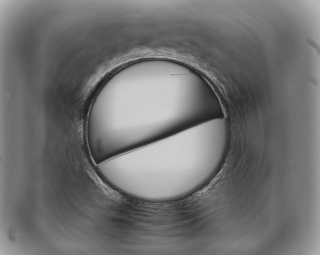 X0000098041503200804071428
