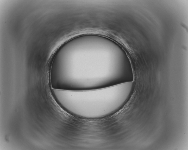 X0000098041504200804071428