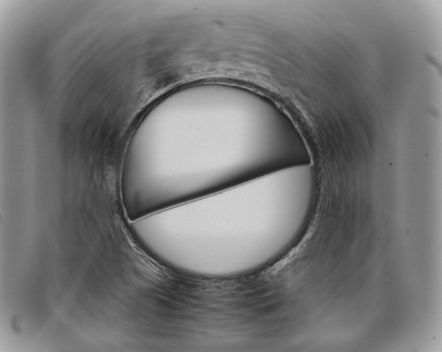 X0000098041505200804071428