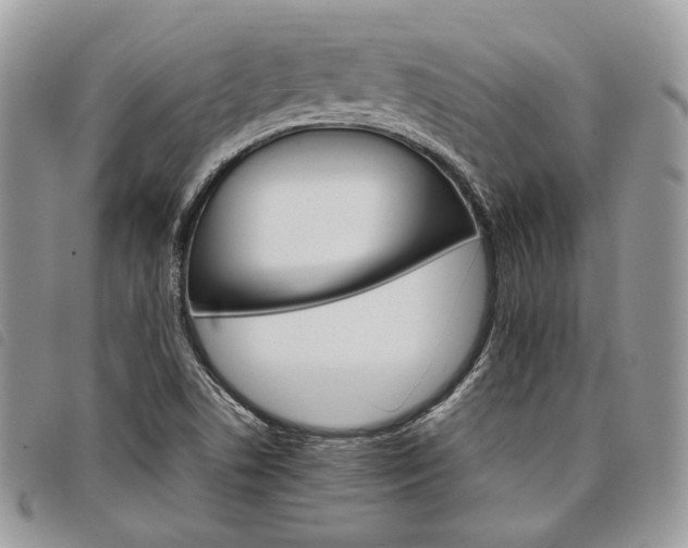 X0000098041506200804071428