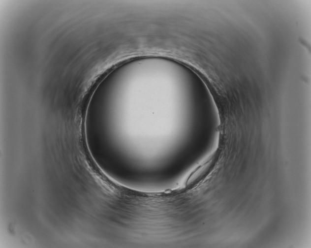 X0000098041507200804071428