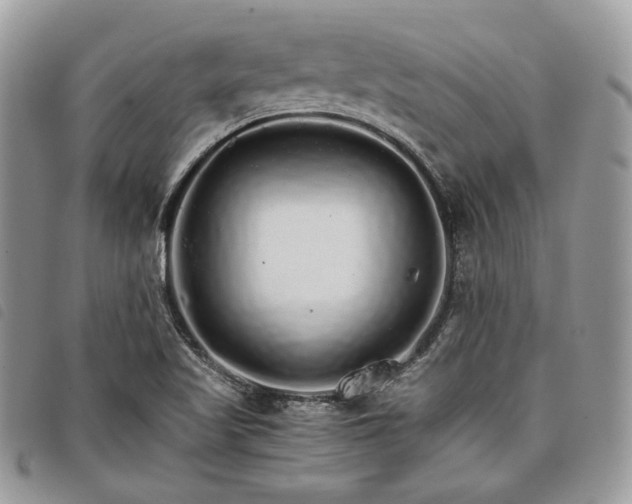 X0000098041509200804071428