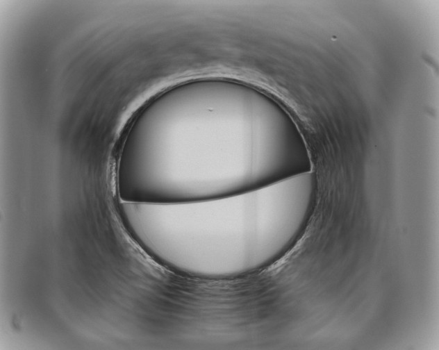 X0000098041510200804071428