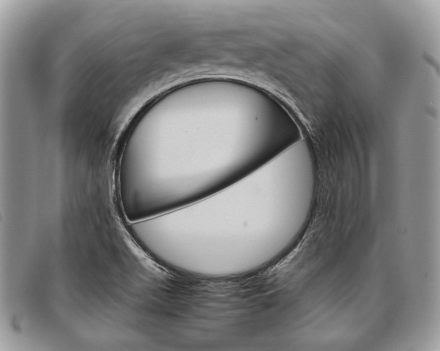 X0000098041511200804071428