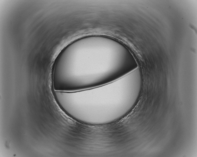 X0000098041512200804071428