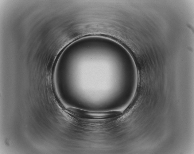 X0000098041513200804071428