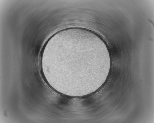 X0000098041514200804071428