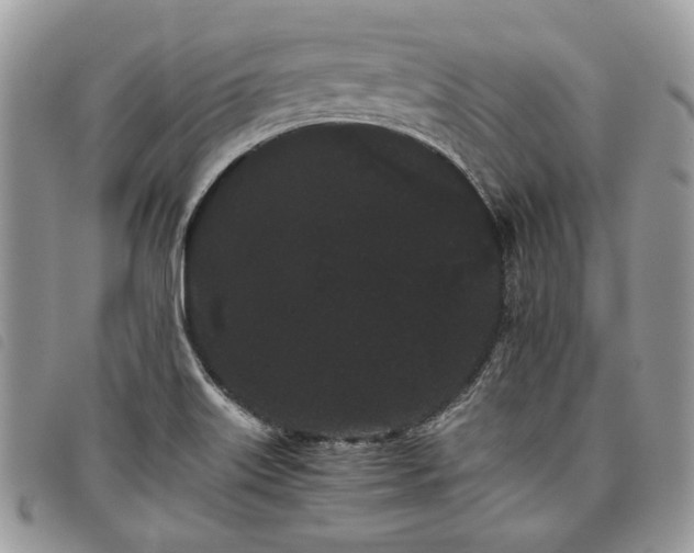 X0000098041515200804071428