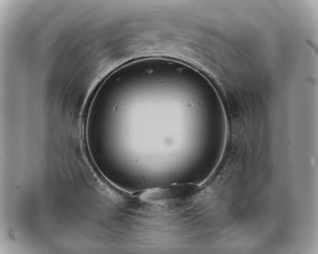 X0000098041517200804071428