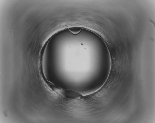 X0000098041518200804071428