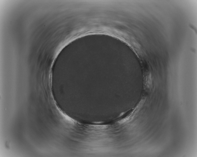 X0000098041519200804071428