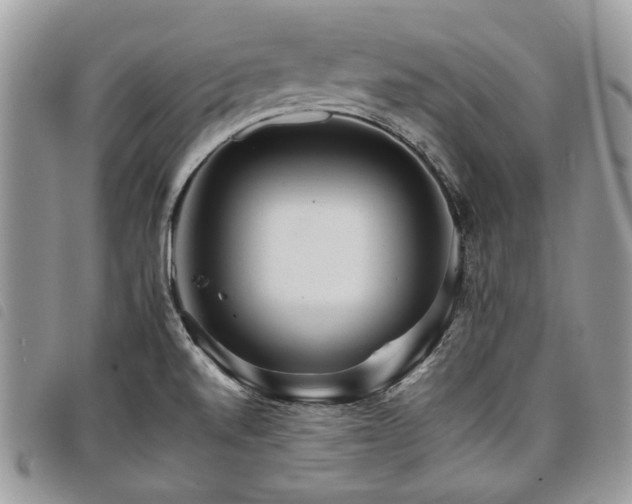X0000098041520200804071428
