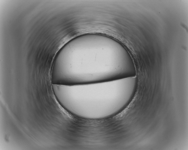 X0000098041521200804071428
