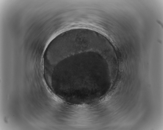 X0000098041522200804071428