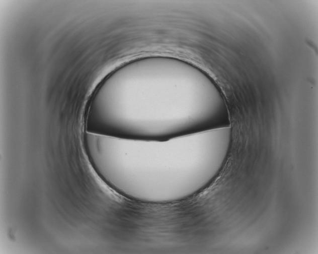 X0000098041523200804071428