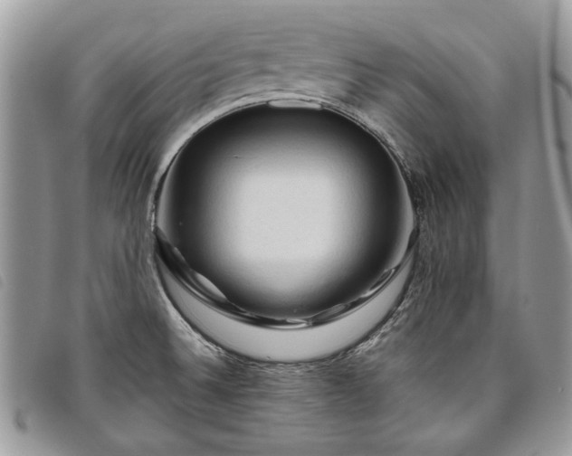 X0000098041524200804071428