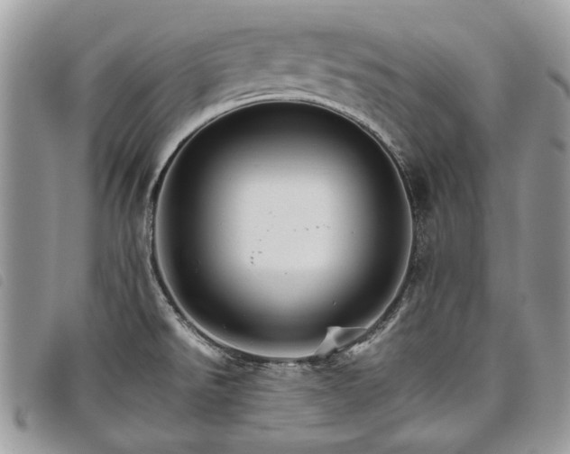 X0000098041526200804071428