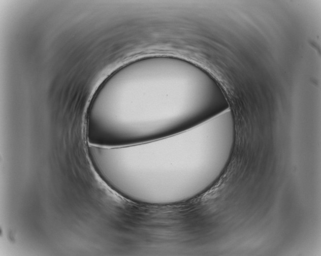 X0000098041527200804071428