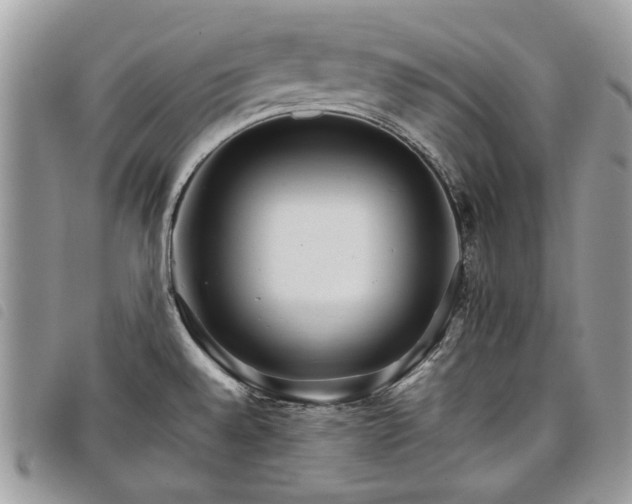 X0000098041528200804071428