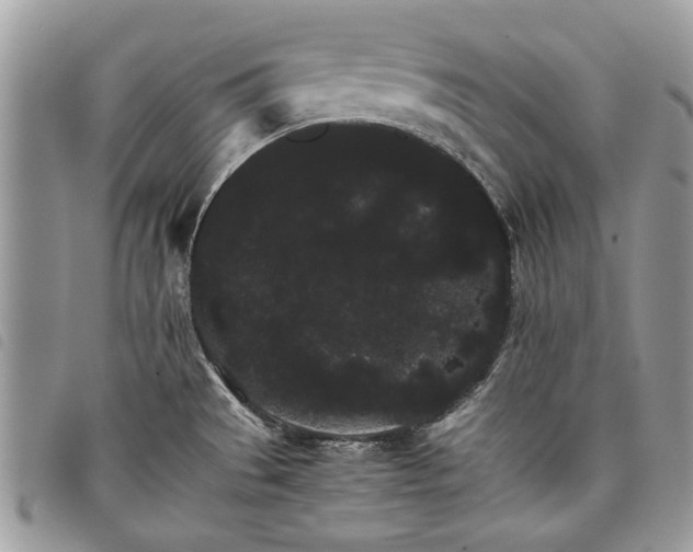 X0000098041529200804071428