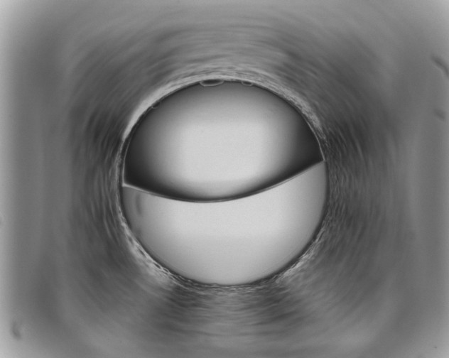 X0000098041530200804071428