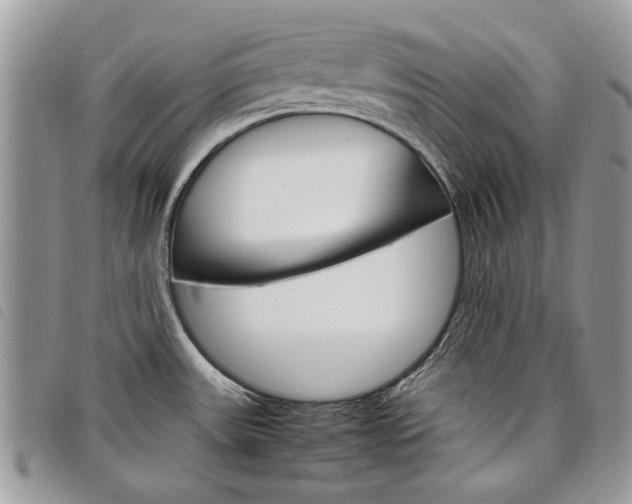 X0000098041531200804071428