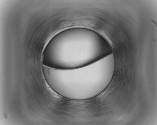 X0000098041532200804071428
