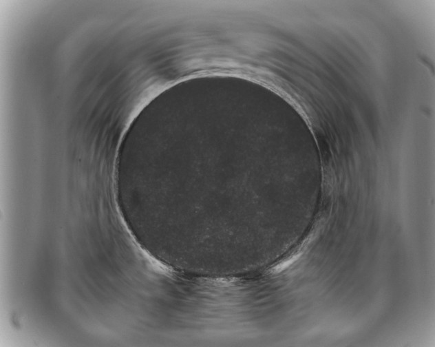 X0000098041533200804071428