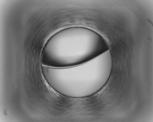 X0000098041534200804071428