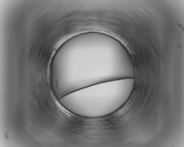 X0000098041535200804071428