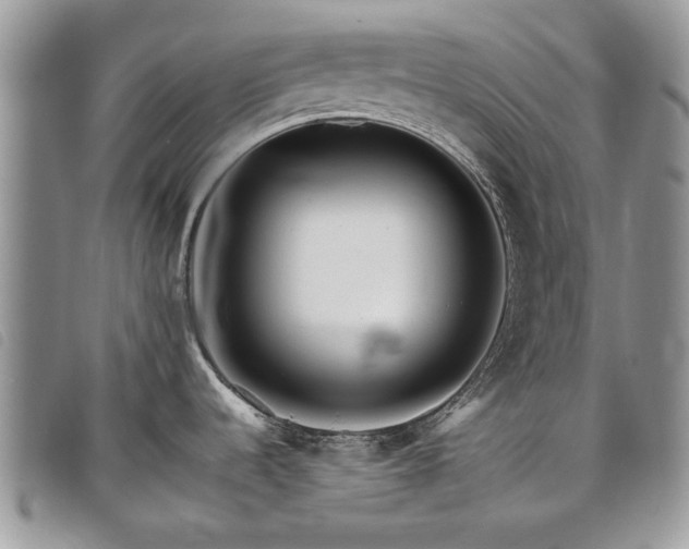 X0000098041536200804071428