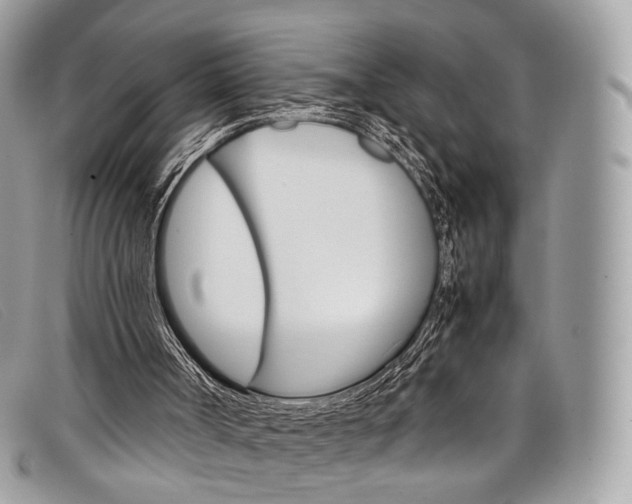 X0000098040002200804111358