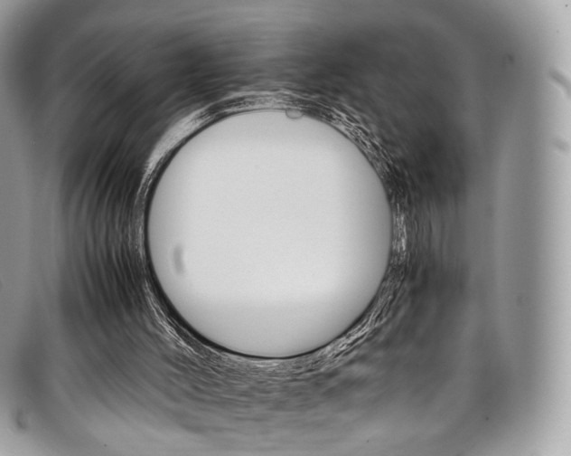 X0000098040004200804111358
