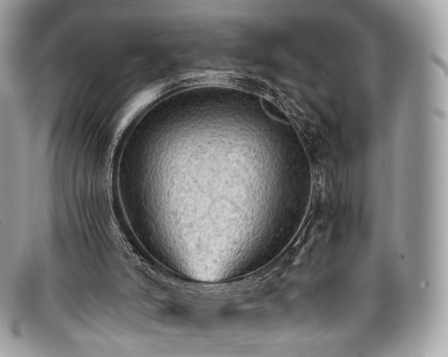 X0000098040006200804111358