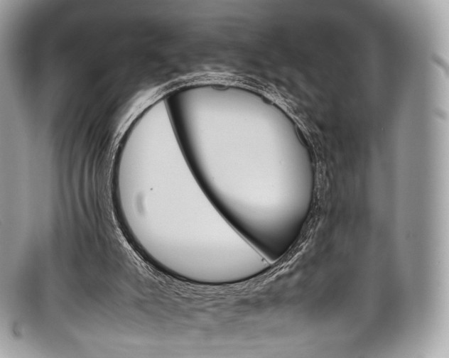 X0000098040007200804111358