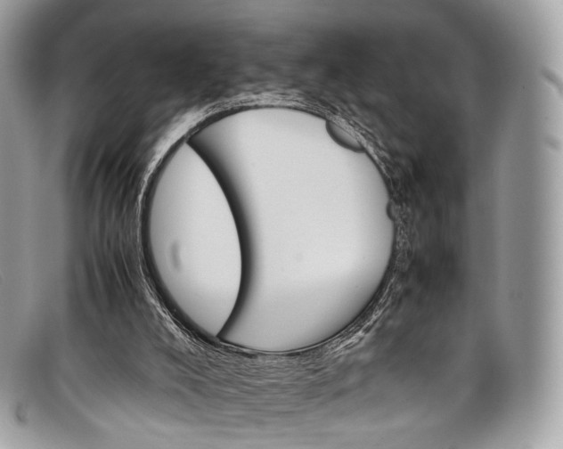 X0000098040008200804111358