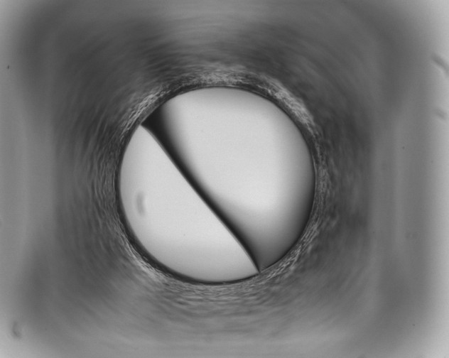 X0000098040009200804111358