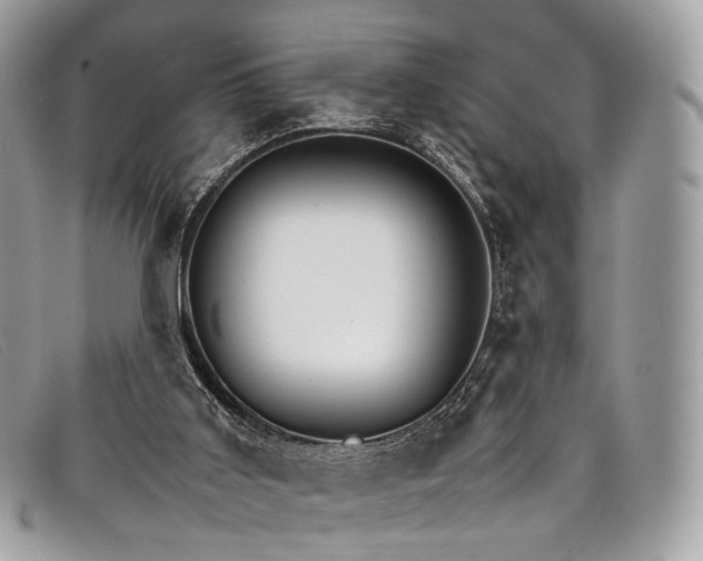 X0000098040011200804111358