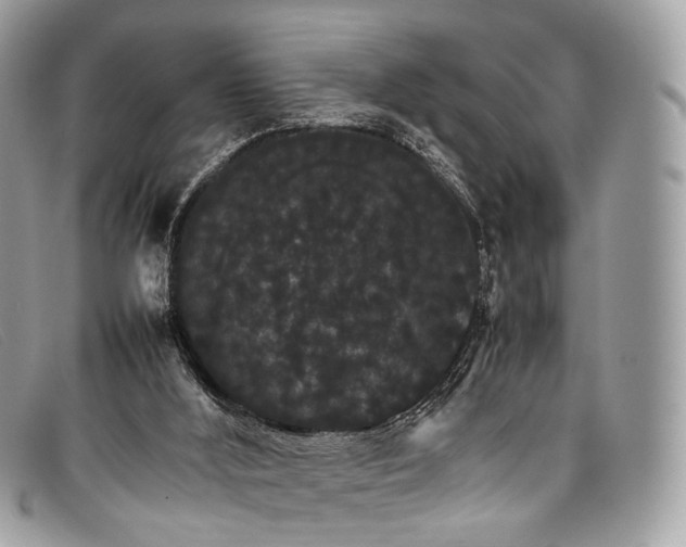 X0000098040012200804111358