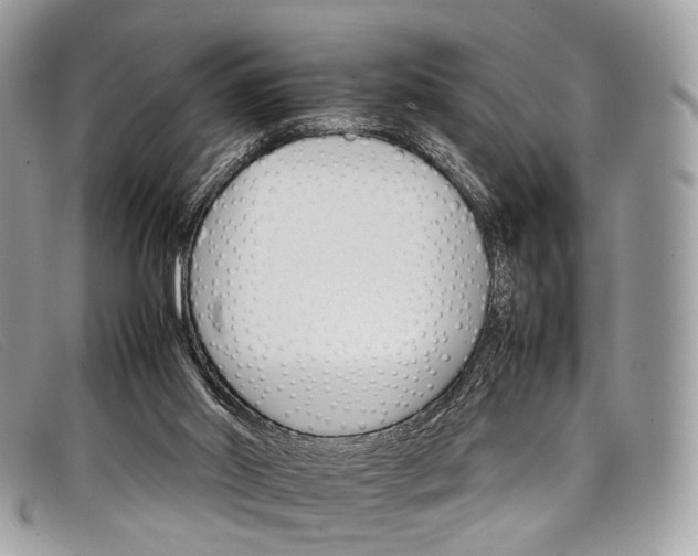 X0000098040014200804111358