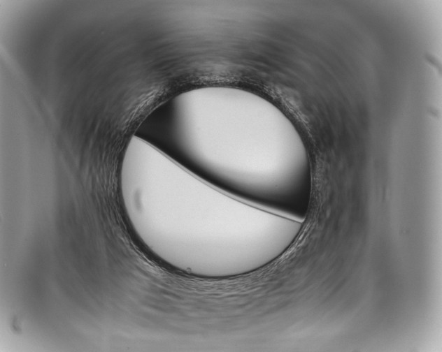 X0000098040017200804111358