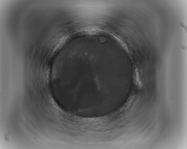 X0000098040018200804111358