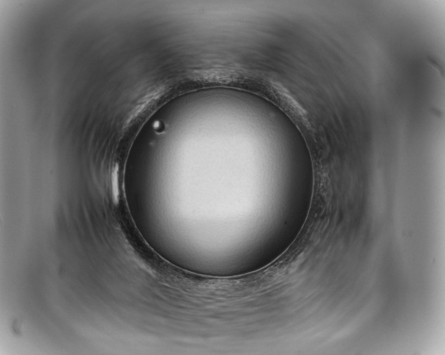 X0000098040020200804111357